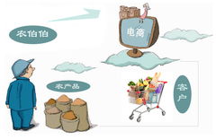 農(nóng)產(chǎn)品電子商務(wù)經(jīng)營模式創(chuàng)新與挑戰(zhàn)