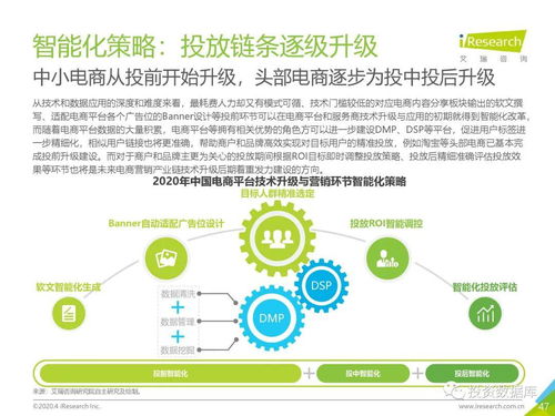 2020年中國電商營銷市場研究報告 經營電子商務的機遇與挑戰